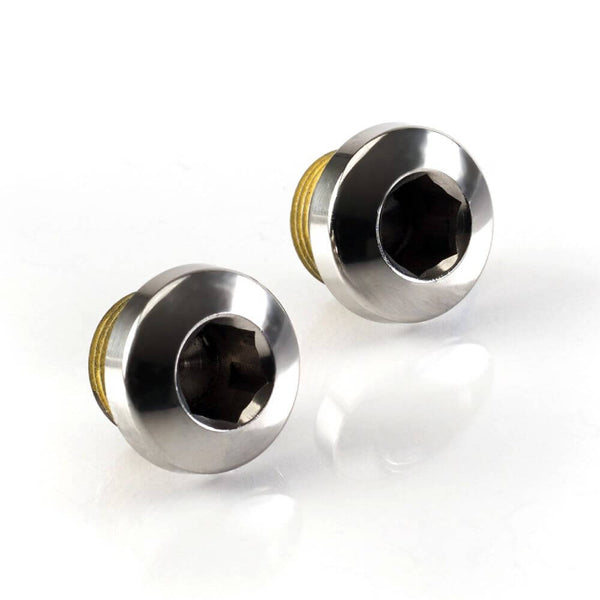 Triumph Oil Gallery Plugs Polished A9738133 Triumph Direct